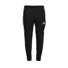 adidas Performance   TIRO TR PNT